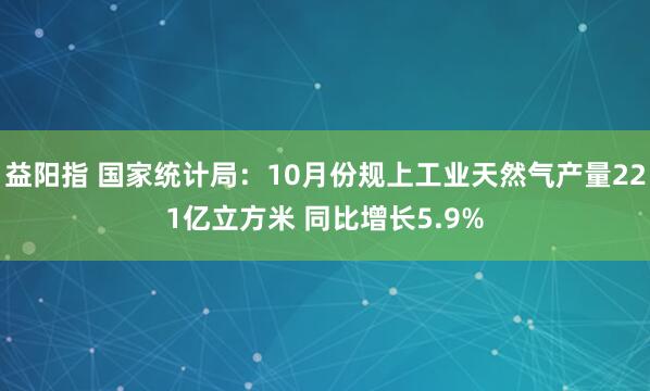益阳指 国家统计局：10月份规上工业天然气产量221亿立方米 同比增长5.9%