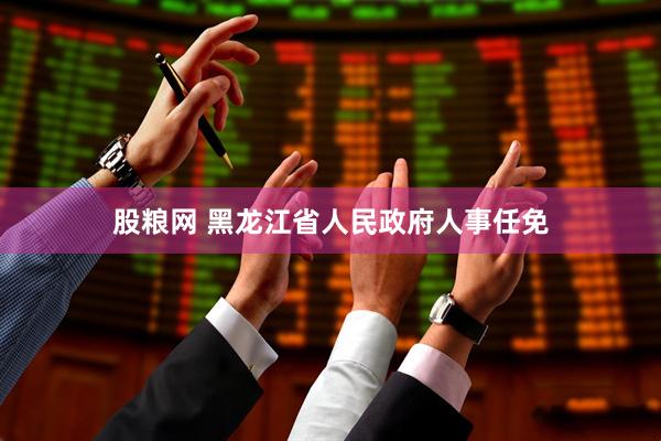 股粮网 黑龙江省人民政府人事任免