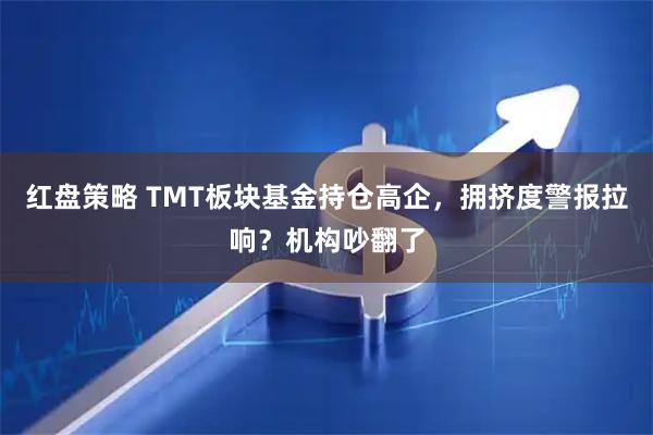红盘策略 TMT板块基金持仓高企，拥挤度警报拉响？机构吵翻了